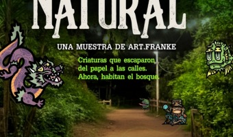 NUEVA MUESTRA EN EL VIVERO HIST�RICO DEL PINAR DEL NORTE